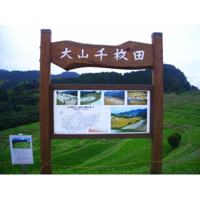 ふるさと納税 館山市 令和7年産千葉県産長狭米コシヒカリ精米10kg |  | 02