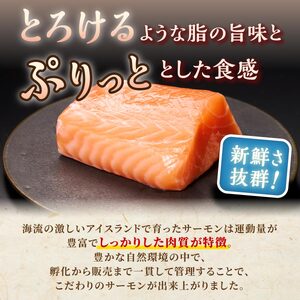 【TOWA SALMON】 アトランティック サーモン 【800g】鮭 サーモン さけ シャケ しゃけ sake カルパッチョ ソテー レアステーキ 人気 高級 大満足 美味しい 贈答 生食用 刺身 