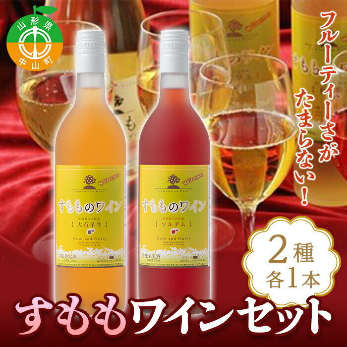 【ふるさと納税】フルーティーさがたまらない！「すももワインセット」 アルコール お酒 果実酒 F4A-0056