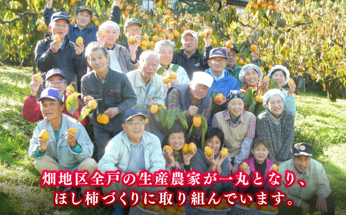 【ふるさと納税限定】【数量限定20箱】東出雲の畑ほし柿 50個入 島根県松江市/畑ほし柿生産組合 [ALBV001] 柿
