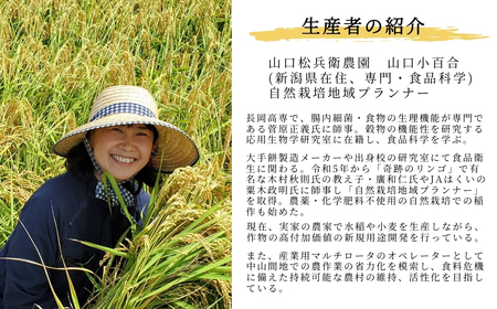 【令和7年産 コシヒカリ 先行予約 】魚沼産 コシヒカリ 精米5kg 山口松兵衛