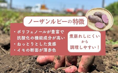 訳ありじゃがいも ノーザンルビー 5kg | じゃがいも じゃがいも じゃがいも じゃがいも じゃがいも