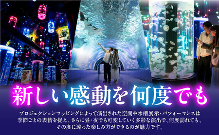 マクセル アクアパーク品川　閉館後貸切 │ 東京 チケット 水族館