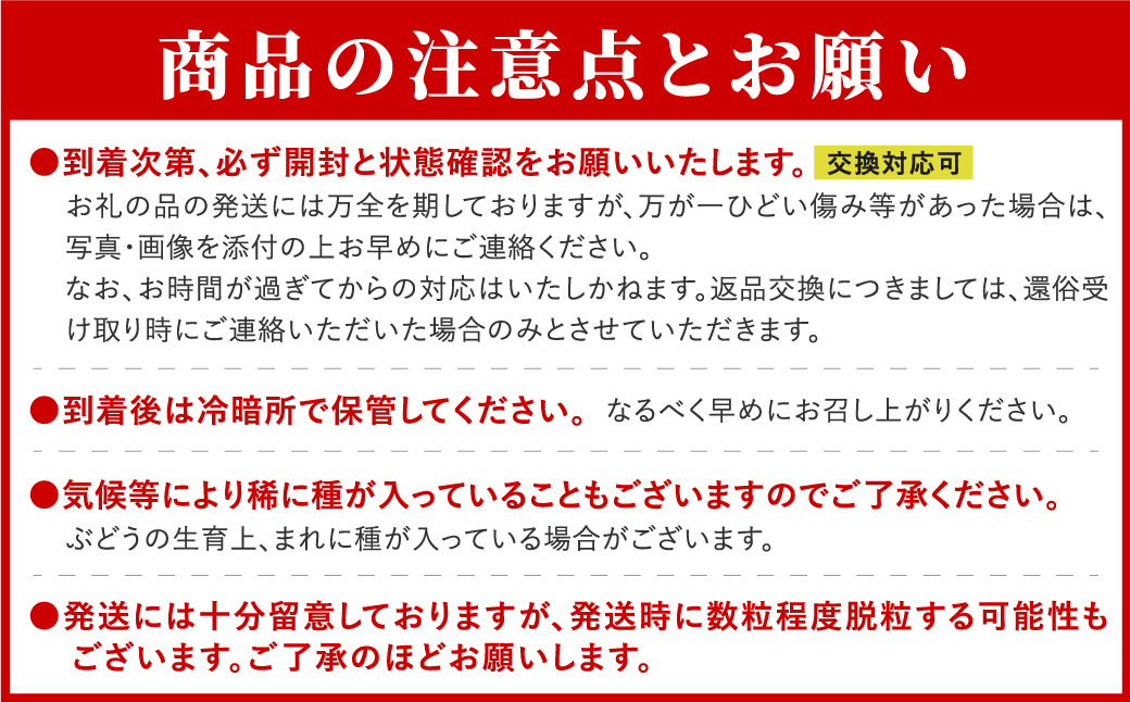 【先行予約】 ＼バイオレットキング  約750g／ 1房  冷蔵 高級 種無し 種なし シャインマスカット ブドウ ぶどう 品種 果物 甘い 巨峰 美味しい 希少 人気 ランキング おすすめ ギフト 福島県 田村市  鈴木農園 でんじろうさん S46-F13-01