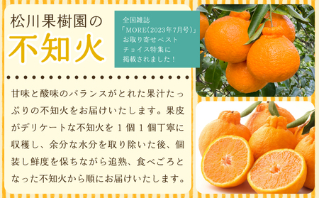 雑誌「MORE」掲載商品 不知火 訳あり品 9kg 【松川果樹園】【2025年3月上旬から4月下旬発送予定】しらぬい 柑橘