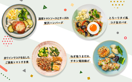 M161-0001-20_三ツ星ファームおかずプレート 20食セット