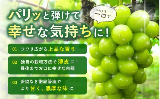 林ファミリーぶどう園の種なしシャインマスカットは味が濃く皮が薄い
