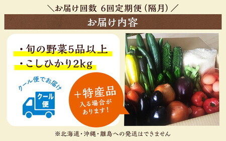 【隔月6回定期便】旬の京野菜と米セット 野菜