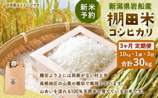【新米予約・令和8年産米】【定期便：3ヶ月連続でお届け】新潟県村上市岩船産 棚田米コシヒカリ 10kg×3ヶ月　1011005N