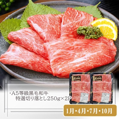 定期便【3回配送】枕崎お楽しみ便(A5黒毛和牛・黒豚ハンバーグ・かつお丼)LL-6037【配送不可地域：離島】
