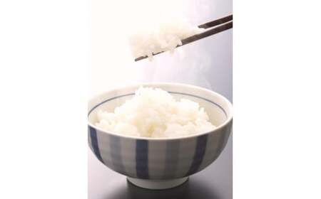 【新米(2025年度産)先行予約】 米 にじのきらめき 和歌山県産 10kg（5kg×2）※2025年9月下旬より順次発送 / 精米 お米 由良町 白米 ごはん 和歌山県の米 令和7年度産【sml91