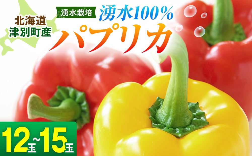 
                  【R8年産】湧水栽培 ナツやさいのパプリカ 12玉〜15玉セット ピンクの八百屋〜ナツやさい〜  | 北海道津別町
                