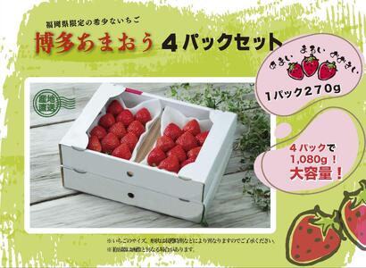 いちごの王様　福岡名産あまおう 約２７０ｇ×４パック　計約1,080g　＜２０２５年２月以降発送＞