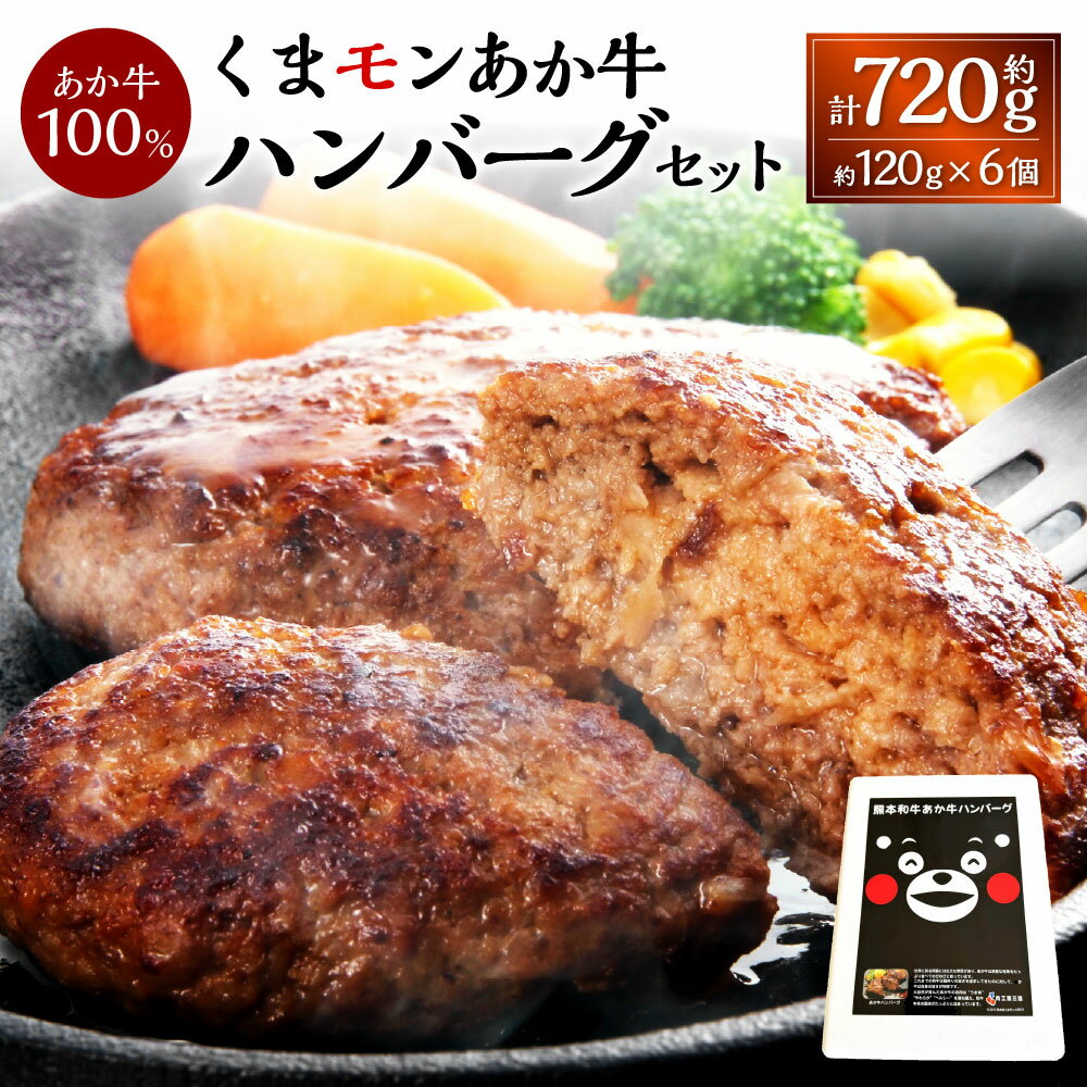 【ふるさと納税】くまモン あか牛 ハンバーグセット 約120g×6個 牛肉 赤牛 和牛 ハンバーグ おかず 洋食 惣菜 冷凍 国産 九州 熊本 熊本県 上天草市 送料無料