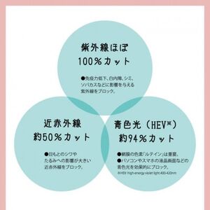 ウルトラガード クラシック BK/ブルーグレー【1644904】