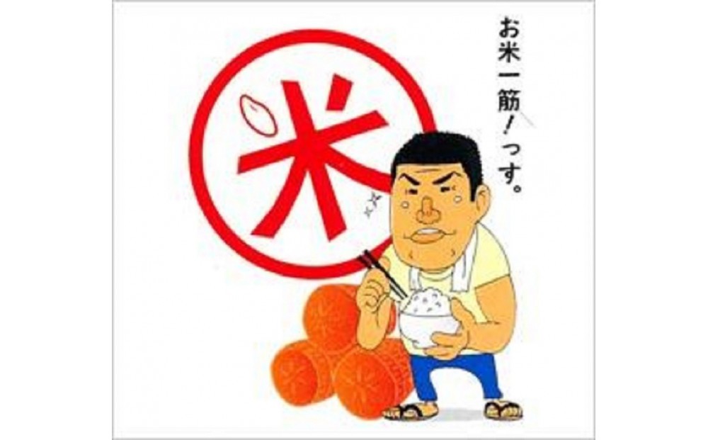 福岡限定のお米「めし丸　元気つくし」5kg×1袋　令和7年産