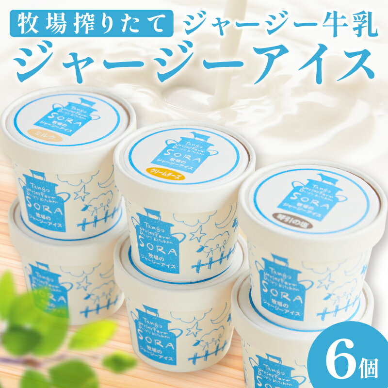 【ふるさと納税】高評価★4.75 高レビュー★ 京都 丹後 ジャージー 牧場直送！ 搾りたて ジャージー牛乳 で作る 濃厚 ミルク の ジャージーアイス 6個 セット スイーツ アイス アイスクリーム 6種 濃厚アイス 濃厚ミルク 抹茶 クリームチーズ 黒糖 きなこ チョコ 琴引の塩