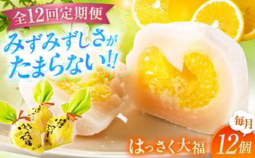 【ふるさと納税】【全12回定期便】お菓子 はっさく大福12個入 お菓子 大福 八朔 柑橘 みかん オレンジ 餅 ギフト お取り寄せ スイーツ フルーツ大福 ご当地 菓子 おかし デザート 食品 人気 おすすめ 広島県福山市/株式会社虎屋本舗[BADH016]