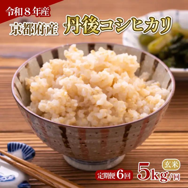 【玄米】定期便 6回 令和8年産 丹後コシヒカリ 玄米 5kg