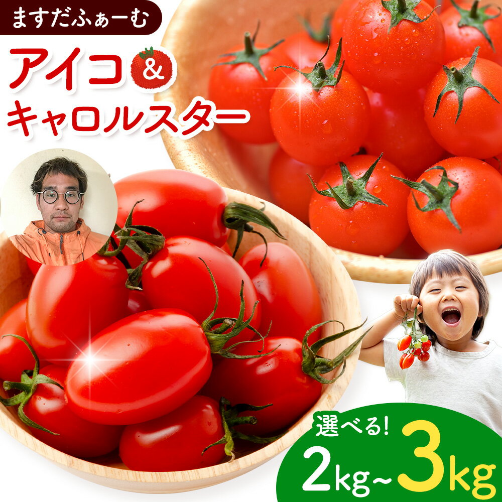 【ふるさと納税】ミニトマト アイコ＆キャロルスター 選べる 種類 内容量 約2kg 約3kg ますだふぁーむ《7月上旬-11月末頃出荷》熊本県 南阿蘇村 アイコトマト キャロルスター 野菜 旬 夏野菜 トマト