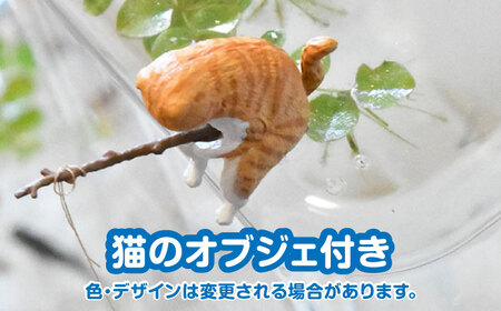 メダカスターターキット アクアリュウムタワー クリアー  スターターキット 水槽 セット 愛西市/株式会社プロスパージャパン [AEAK004]