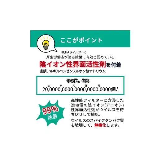 アニオン空気清浄機 10畳用 マイナスイオン搭載 交換用フィルター・除菌剤付き ウィルス99%捕捉・不活性化 消毒 空気除菌 陰イオン界面活性剤 花粉 PM2.5 粉塵 ハウスダスト