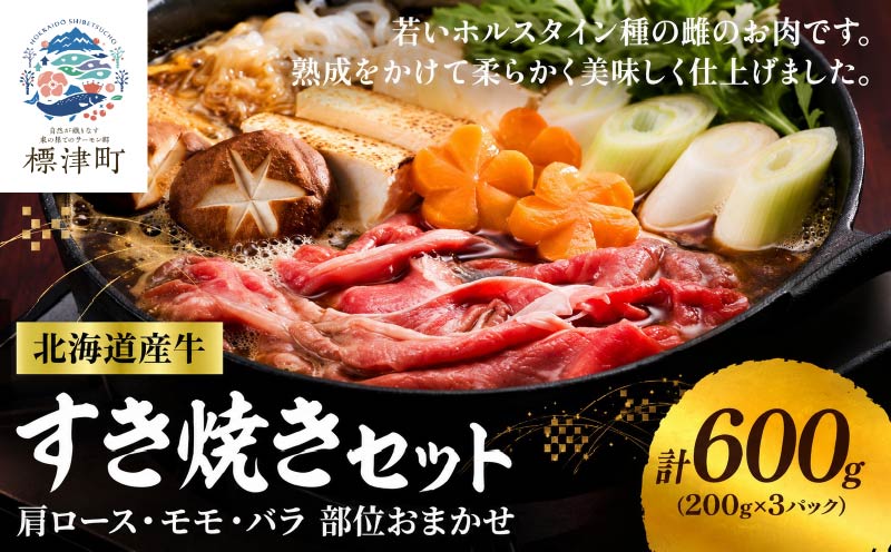 北海道産牛すき焼き用　部位おまかせ600g(200g×3)　牛肉 赤身 熟成肉 モモ バラ 肩ロース【配送不可地域：離島】