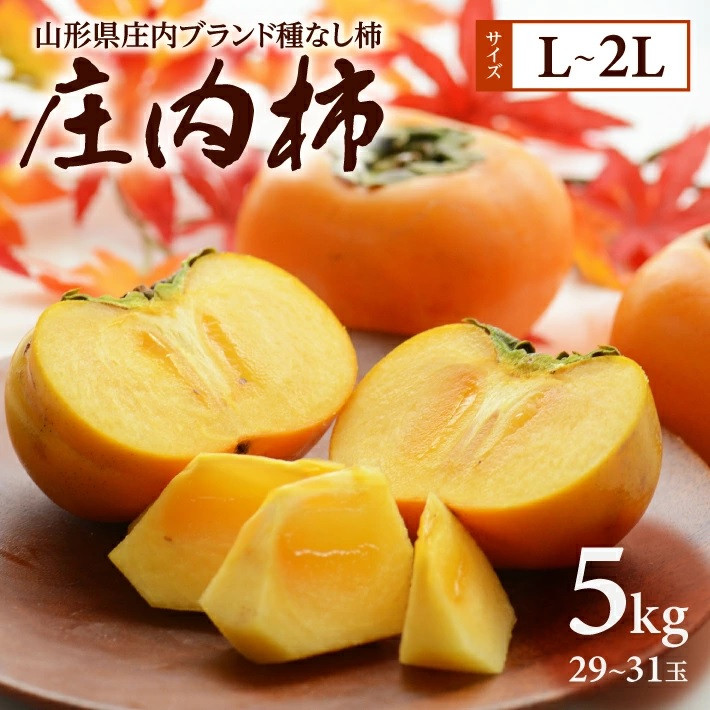 
                  柿 種なし 約5kg  29～31玉入 L～2Lサイズ 1箱 11月上旬～11月下旬頃お届け 庄内柿 フルーツ くだもの デザート スイーツ 果物 人気 おすすめ 佐藤農園 山形 酒田 SA3072
                