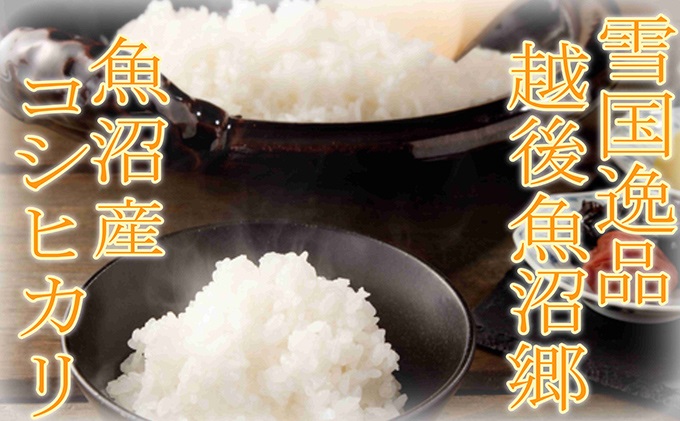 【定期便：雪国逸品 精米10kg×3ヶ月】越後魚沼郷 魚沼産コシヒカリ お米 人 自然調和 ミネラル 奇跡 自然環境 努カ 香り つや 粘り 極上 