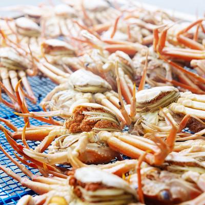 ふるさと納税 宮津市 新物　セコガニ　コッペがにほぐし身(特々大サイズ)3個セット【甲羅盛り】 |  | 03