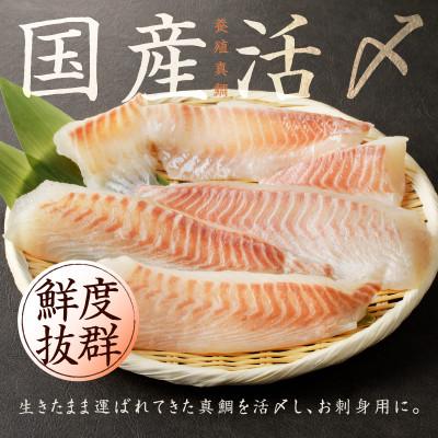 ふるさと納税 泉佐野市 国産活〆 養殖 真鯛 お刺身用 450g 便利な小分け 3パック 010B1534 |  | 01
