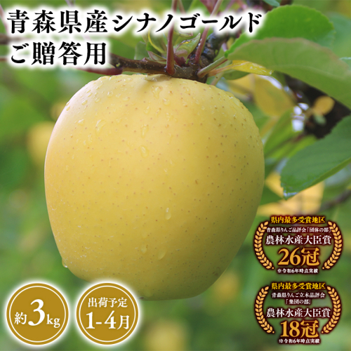 2026年産 １月～４月発送　贈答用シナノゴールド3ｋｇ　【そと川りんご園・１月・２月・３月・４月・青森県産・平川市・りんご・シナノゴールド・3ｋｇ・贈答用】