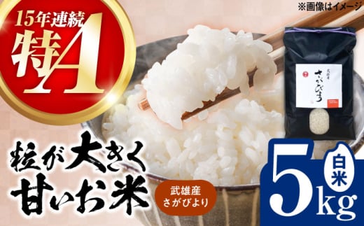 【15年連続特A評価】令和7年産 新米 武雄市産 さがびより 5kg /株式会社 y's company（utsu和ya） [UDX016]