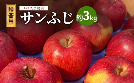 【贈答用】葉とらずサンふじ　約3kg リンゴ りんご フルーツ 果物 お取り寄せ 長野県 山ノ内町