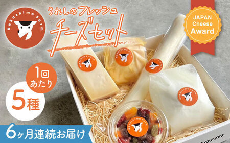 【6回定期便】フレッシュチーズ5種[NAJ102]チーズチーズチーズチーズチーズチーズ