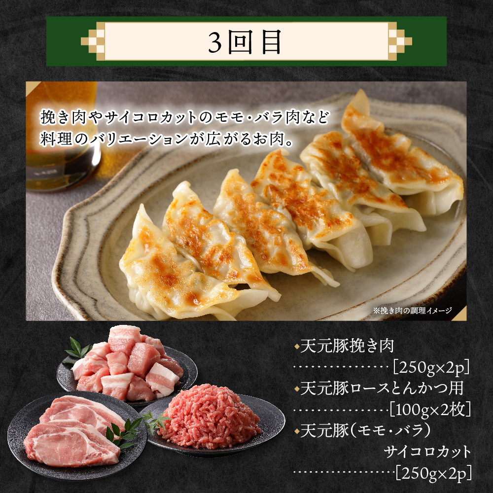 【4ヶ月定期便】 豚肉 天元豚 食べ比べ 全4回 ロース バラ 小間 モモ 挽き肉 便利 小分け 冷凍 しゃぶしゃぶ 焼肉 とんかつ 生姜焼き ブランド豚 国産 山形県 米沢市