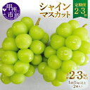 【ふるさと納税】 シャインマスカット 定期便 2回 3回 甲州市産 旬 選べる定期便 1kg以上 2房×2回 2房×3回 山梨県産 期間限定 2025年発送 9月 10月 発送 産地直送 フルーツ 葡萄 ぶどう ブドウ 甘い 果実 人気 新鮮 社員マスカット （MG）