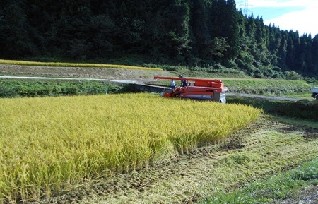 【9ヶ月】よざえもんの 一等米・あきたこまち10kg【定期便】秋田県産