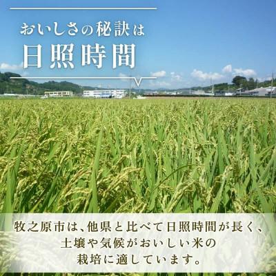 ふるさと納税 牧之原市 【新米 先行予約】 5kg 令和8年産 にじのきらめき 精米 訳あり 10月より順次発送予定 |  | 01
