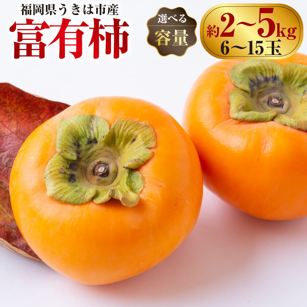 【ふるさと納税】〈選べる容量〉西見柿農園 富有柿 6玉から8玉・9玉から11玉・12玉から15玉 2025年11月下旬から12月上旬 9000円 ～14000円 9000円 ～ 1万4000円 出荷予定 柿 かき カキ フルーツ 果実 果物 常温 送料無料 福岡県 うきは市