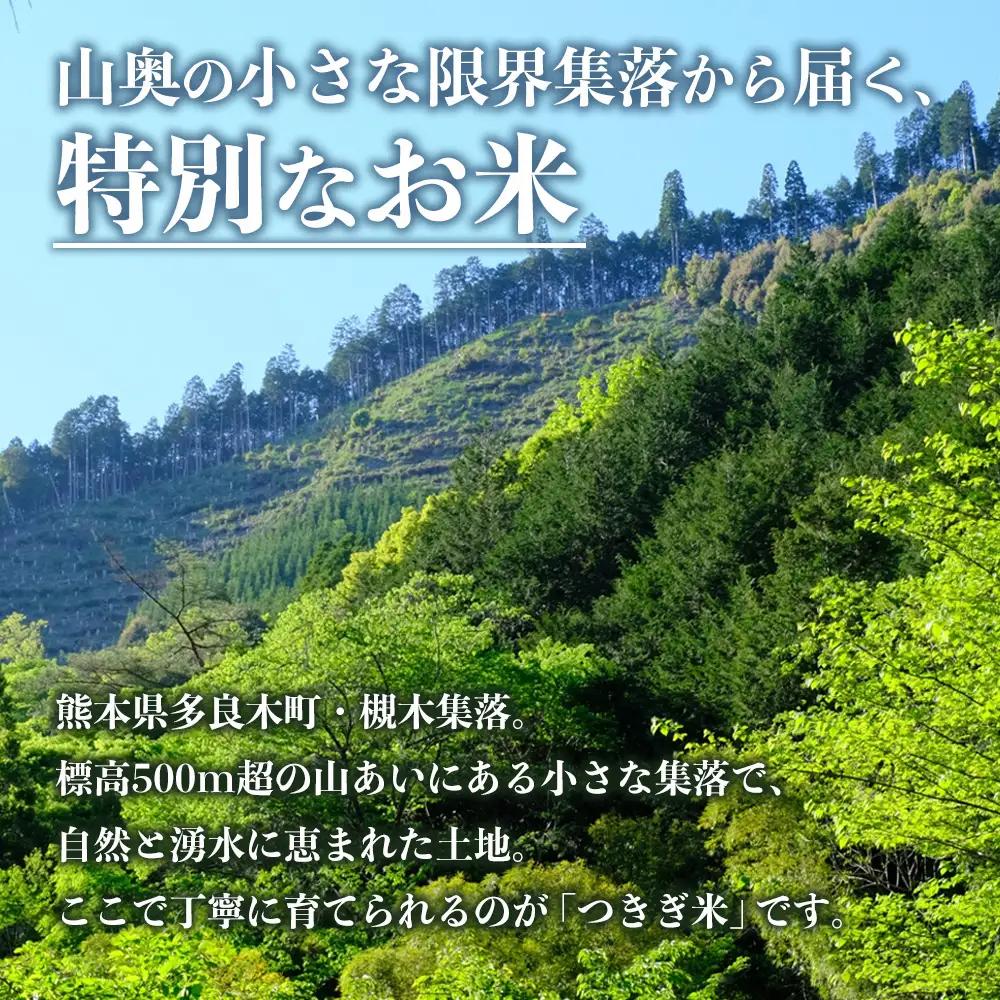 【令和8年産 玄米 】10月上旬～発送 多良木町産 にこまる 「つきぎ米」 玄米 10kg (5kg×2袋) ハサ干し米 117-0503