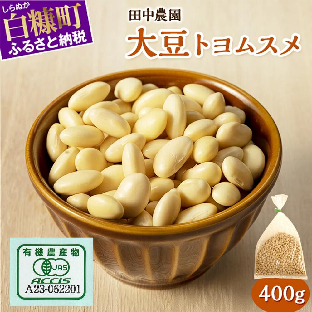 【ふるさと納税】有機JAS 無農薬大豆（トヨムスメ）【400g】