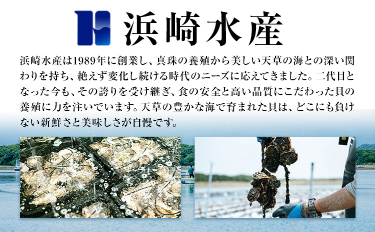 【西日本限定発送】浜崎水産の緋扇貝 15個 《12月上旬‐12月末出荷》 【配送不可地域あり】 海鮮 海産物 海の幸 魚貝類 シーフード 貝 貝類 緋扇貝 浜崎水産 贈答 熊本県 苓北町---d05r