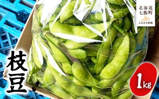 【先行予約 令和8年8月中旬より順次発送】 北海道産 枝豆500g×2 おいしい！ 【 ふるさと納税 人気 おすすめ ランキング えだまめ 1kg 栄養 おつまみ 岡田農場 北海道産 北海道 七飯町 送料無料 】 NAZ020