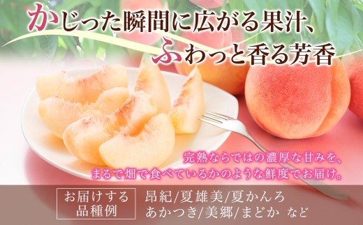 桃2kg（品種お任せ）5～8玉