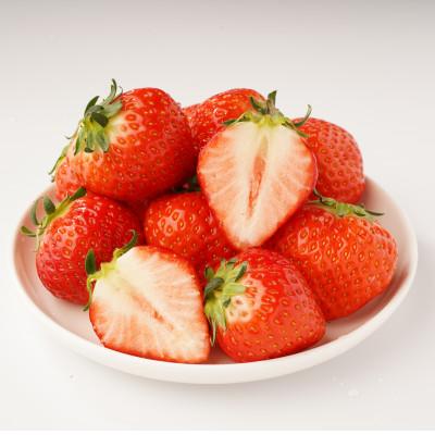 ふるさと納税 三豊市 【発送月固定定期便】三豊市フルーツ定期便全6回