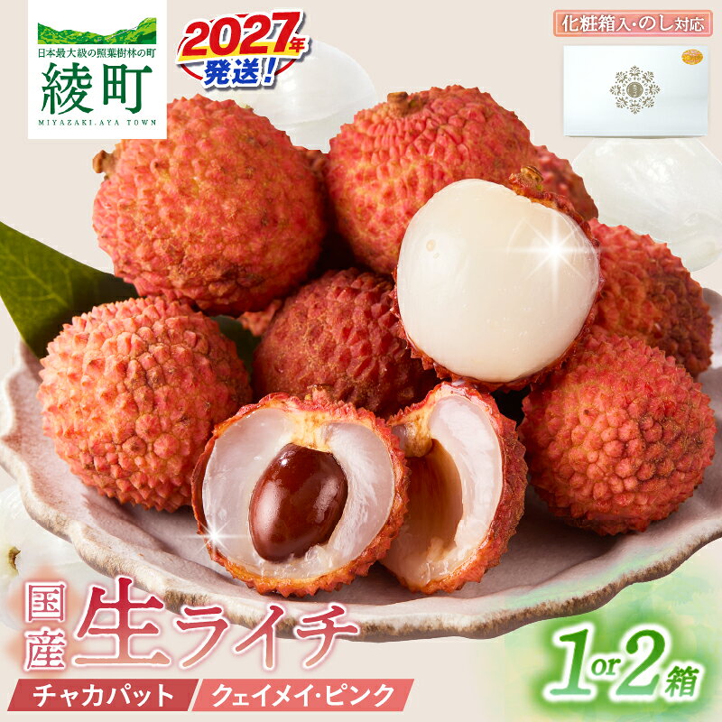 【ふるさと納税】先行予約 《選べる内容量》 数量限定 希少 国産 綾 生ライチ 化粧箱入り 果物 フルーツ くだもの 国産ライチ 2027年 トロピカルフルーツ 南国フルーツ 冷蔵 ジューシー 高級 デザート ギフト 贈り物 プレゼント ご褒美 宮崎県 送料無料 【JA綾町】