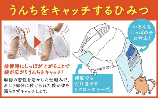 うんぽパンツ Lサイズ 55個入り