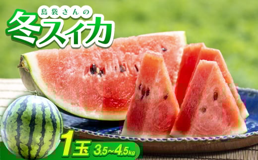 
            ＜2025年2月～3月頃の発送＞島袋さんの冬スイカ 1玉(3.5～4.5kg)【1577664】
          