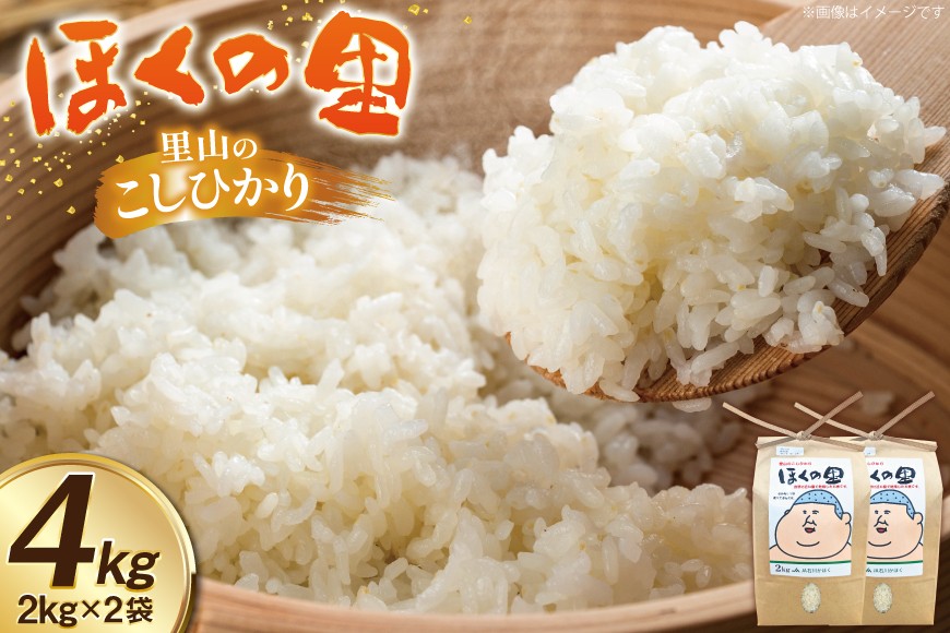 米 令和7年 コシヒカリ 里山のこしひかり ほくの里 2kg 2袋 計 4kg [JA石川かほく 石川県 津幡町 tb17nir90049] ふるさと納税 お米 白米 ご飯 ごはん コメ こめ 小分け